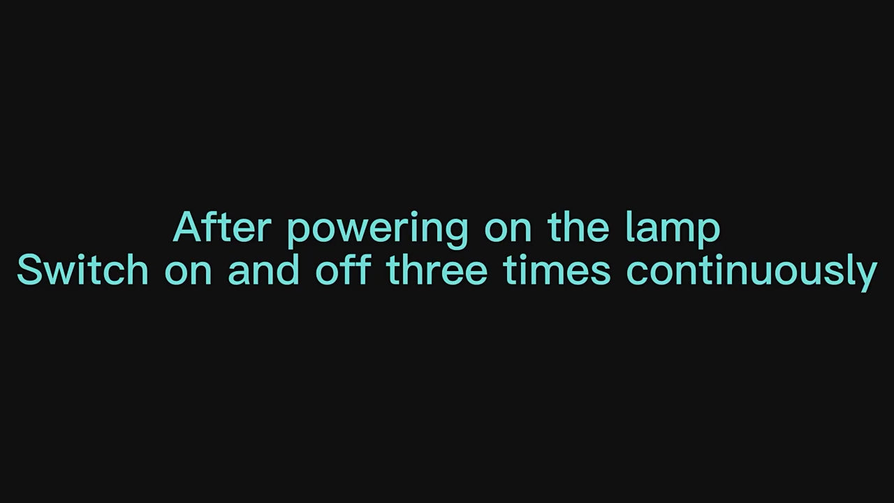 Load video: 